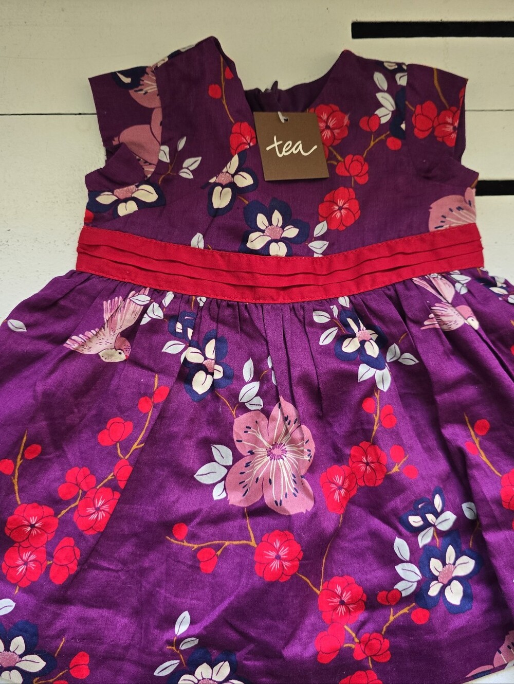 Tea Collection Purple Floral Dress with Red Accents
